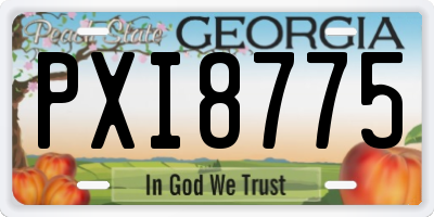 GA license plate PXI8775
