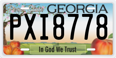 GA license plate PXI8778