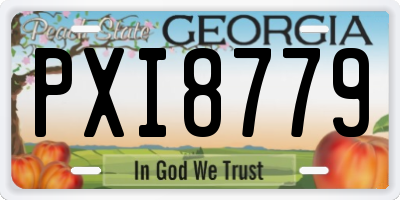 GA license plate PXI8779