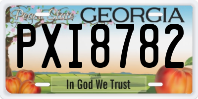 GA license plate PXI8782