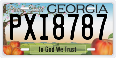 GA license plate PXI8787