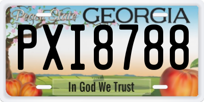 GA license plate PXI8788