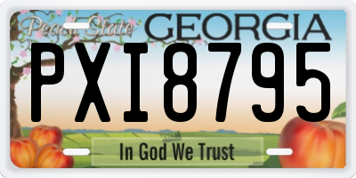 GA license plate PXI8795