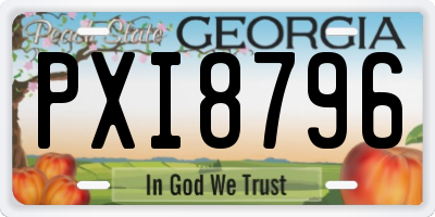 GA license plate PXI8796