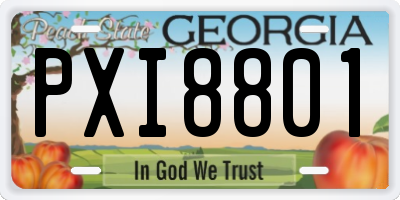 GA license plate PXI8801