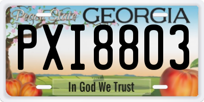 GA license plate PXI8803