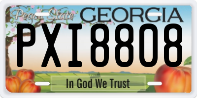 GA license plate PXI8808