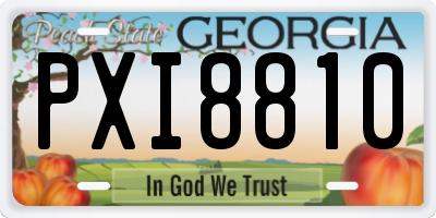 GA license plate PXI8810