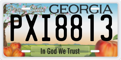 GA license plate PXI8813