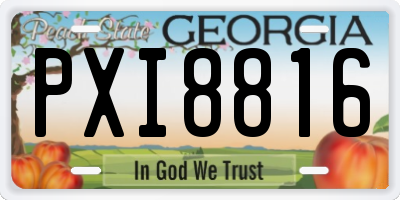 GA license plate PXI8816