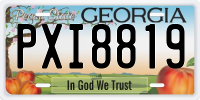 GA license plate PXI8819