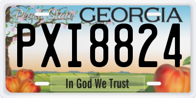 GA license plate PXI8824