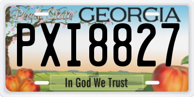 GA license plate PXI8827