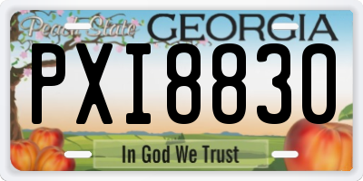 GA license plate PXI8830