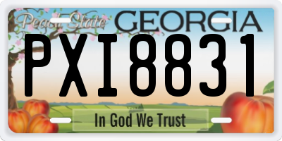 GA license plate PXI8831