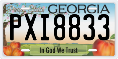 GA license plate PXI8833