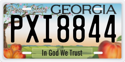 GA license plate PXI8844