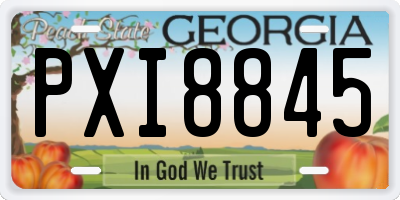 GA license plate PXI8845