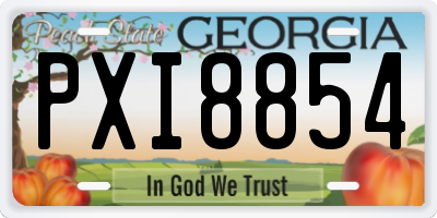 GA license plate PXI8854