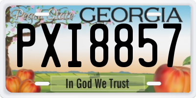 GA license plate PXI8857