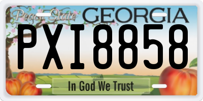 GA license plate PXI8858