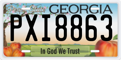 GA license plate PXI8863