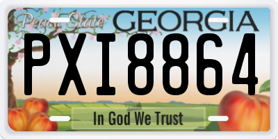 GA license plate PXI8864