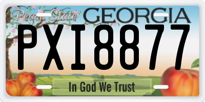 GA license plate PXI8877