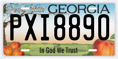 GA license plate PXI8890