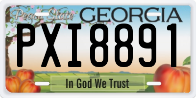 GA license plate PXI8891