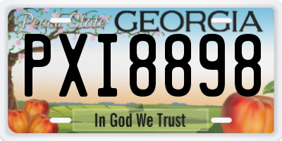 GA license plate PXI8898