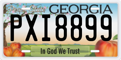 GA license plate PXI8899