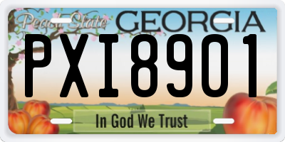 GA license plate PXI8901