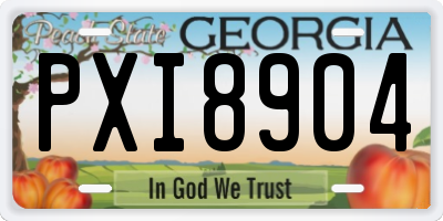 GA license plate PXI8904