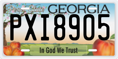 GA license plate PXI8905