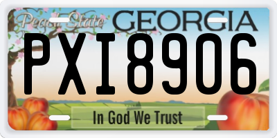 GA license plate PXI8906