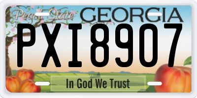 GA license plate PXI8907