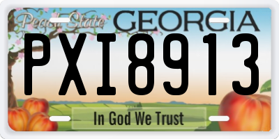 GA license plate PXI8913