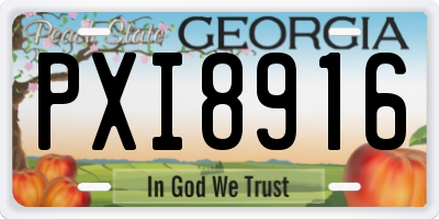GA license plate PXI8916
