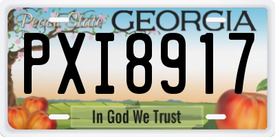 GA license plate PXI8917