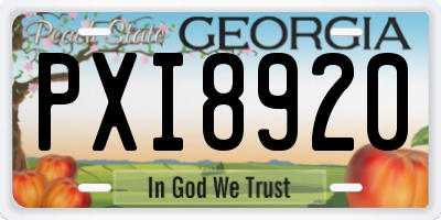 GA license plate PXI8920