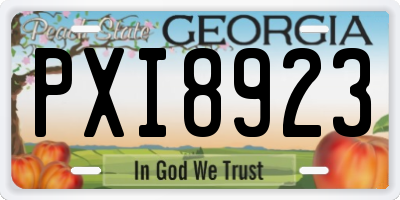 GA license plate PXI8923