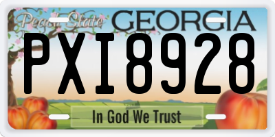 GA license plate PXI8928