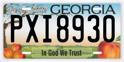 GA license plate PXI8930