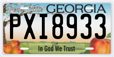 GA license plate PXI8933