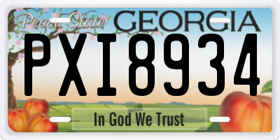 GA license plate PXI8934