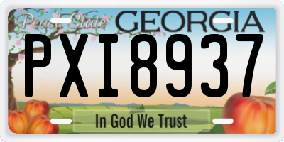 GA license plate PXI8937