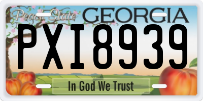 GA license plate PXI8939