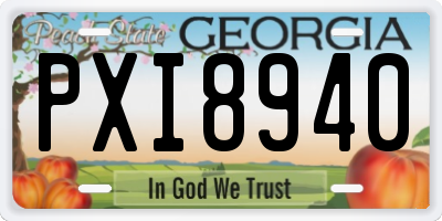 GA license plate PXI8940