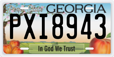 GA license plate PXI8943